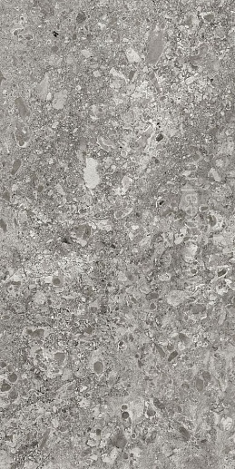 Lunar Grey 60x120 - фото 1