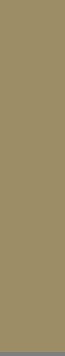 Atelier Layers 4 20x100 - фото 1