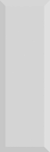 Monocolor Biselado Brillo Gris 10x30 - фото 1