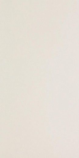 Icon White 12L 60x120 - фото 1