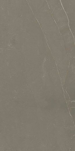 Linearstone Taupe 59.8x119.8 - фото 1