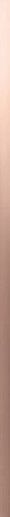 4D Profile Gold Rose 2x80 - фото 1