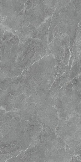 Belvedere Eva Gris Polished 60x120 - фото 1