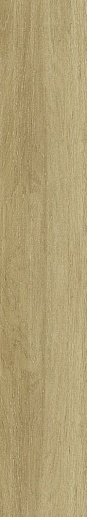 Islandia Arce 33x120 - фото 1