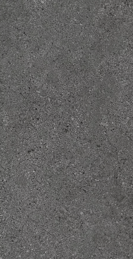Dior Dark Grey 60x120 - фото 1