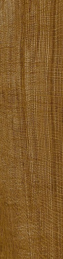 Oxford Cognac 29.4x120 - фото 1