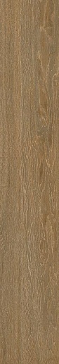Oslo Marron R10 G.271 19.4x120 - фото 1