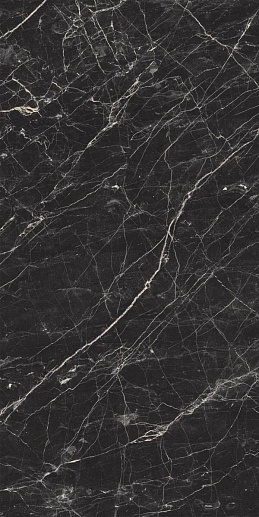 Black Arkadia 60x120 - фото 1