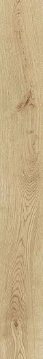 Exence Vanilla 18.5x150 - фото 1