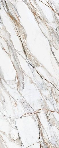 Calacatta Paonazzo Polished 120x300 - фото 1