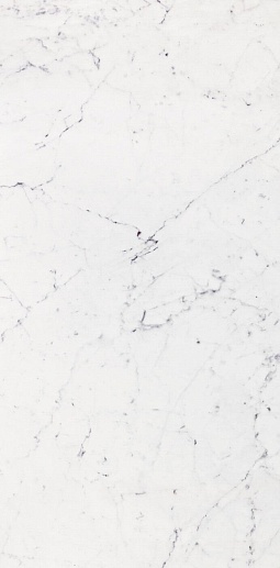 Bianco Pul. 58.6x118.7 - фото 1