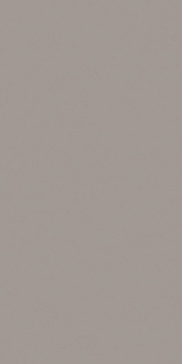 Rainbow Light Grey 80x160 - фото 1