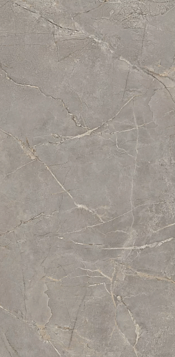 Bernini BR03 Grey - Br03 60x120 - фото 1