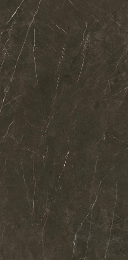 Tessino Bronze Pulido 60x120 - фото 1