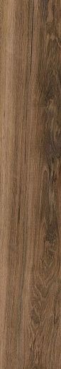 Deka Cream - Dk02 19.4x120 - фото 1