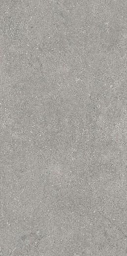 Newcon Серебристо-серый Матовый 60x120 - фото 1