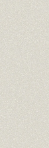 Fan Beige 25x75 - фото 1