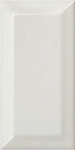Metro Light Grey 10x20 - фото 1