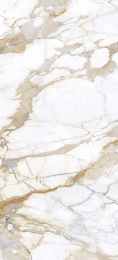Calacatta Gold 120x260 Polished - фото 1