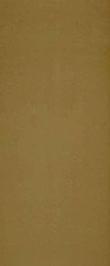 Gotha Kaki Rett. 25x60 - фото 1
