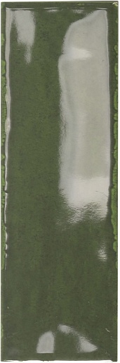 Artisan Green 5x15 - фото 1