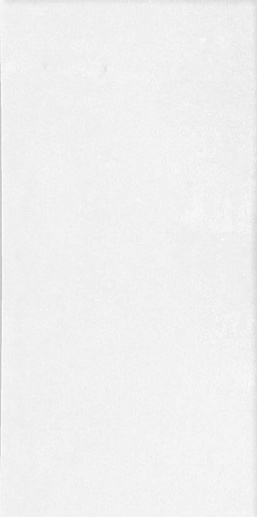 Fez White Matt 6.25x12.5 - фото 1