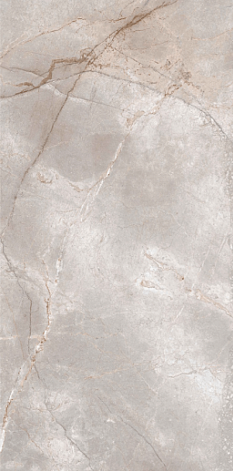 Magistra Fior Di Bosco Lux-Ret Polished 60x120 - фото 1