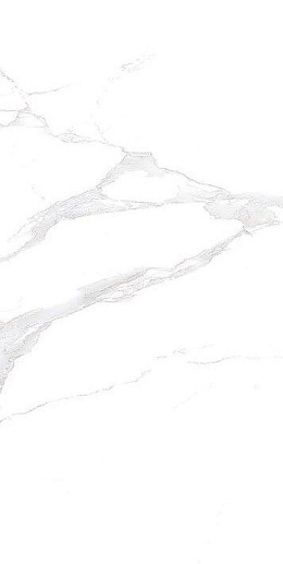 Statuario Classic Белый 20x40 - фото 1