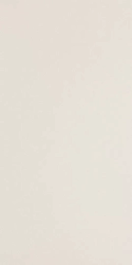 Icon White 12L 60x120 - фото 1