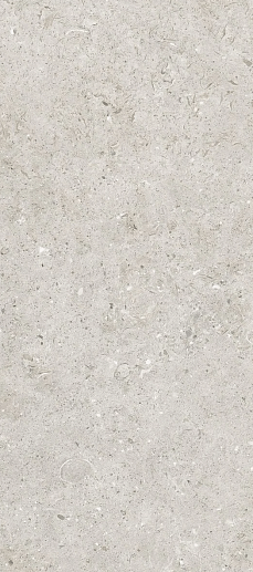 Bera&Beren Light Grey Natural 120x270 - фото 1