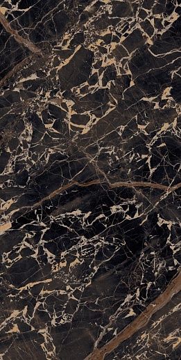 Fuji Gold High Gloss Rectificado 60x120 - фото 1