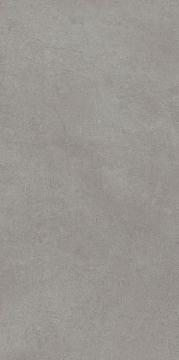 Starck Grey 20.1x40.5 - фото 1