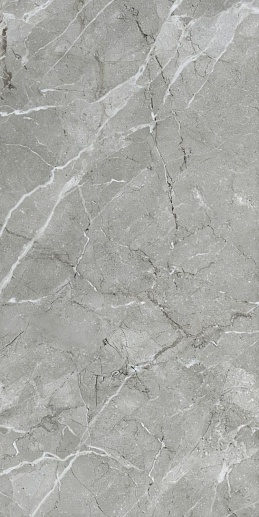 Silkmarble Бреча Серый Матовый 60x120 - фото 1