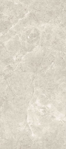 Platinum Leica Polished 120x270 - фото 1