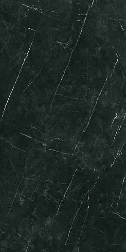 Tessino Black Pulido 60x120 - фото 1