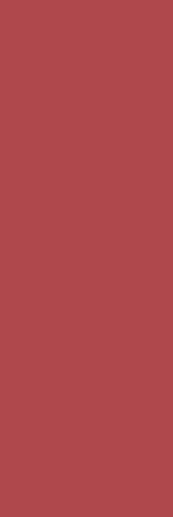 Italian Dream Red Rt 25x75 - фото 1