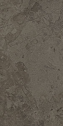 World Flysch-R Grafito 44.3x89.3 - фото 1