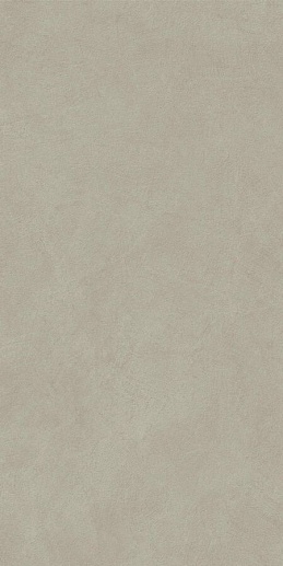 Boost Natural Pro Dove Matte 60x120 - фото 1
