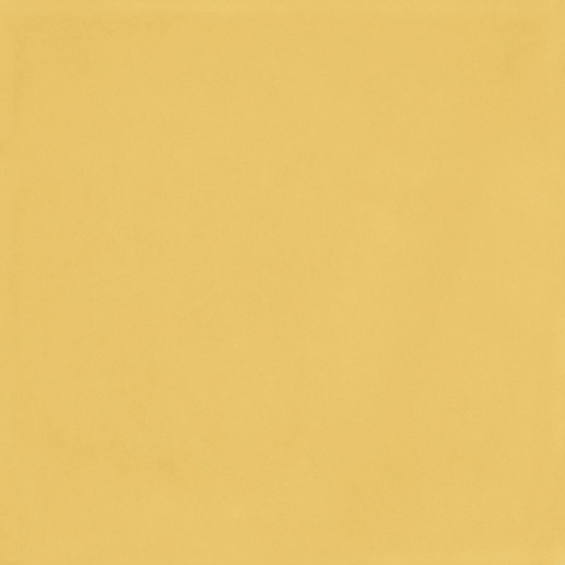 Vita Giallo Luc 20x20 - фото 1