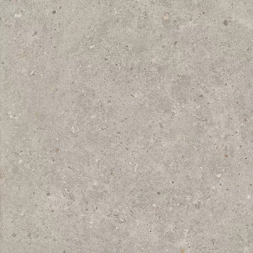 SG653720R Риккарди серый светлый матовый обрезной 60x60 - фото 1