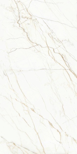 Europa Gold 60x120 - фото 1