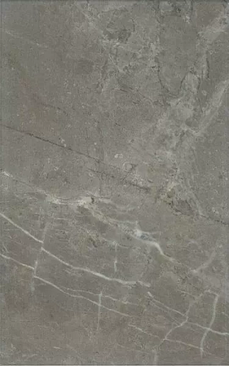 6431 Кантата серый глянцевый 25x40 - фото 1