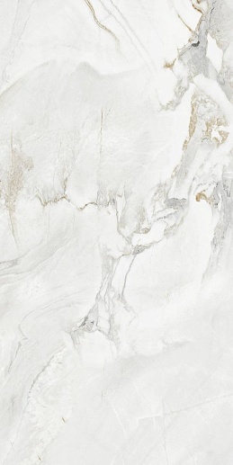 Diona 60x120 - фото 1