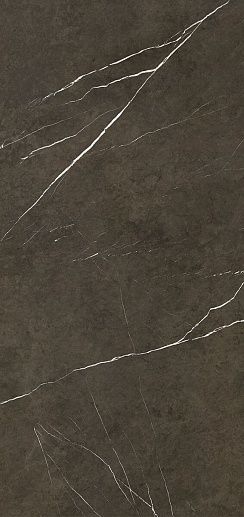 Pietra Grey Polished G-3459 119.3x260 - фото 1