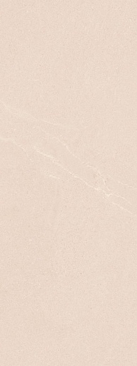 Yonne R-ARena 45x120 - фото 1