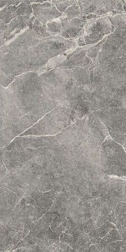 Marble Trend Silver Rever 60x120 - фото 1