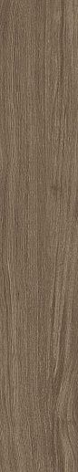 Bio Select Oak Cloves Rtt 20x120 - фото 1