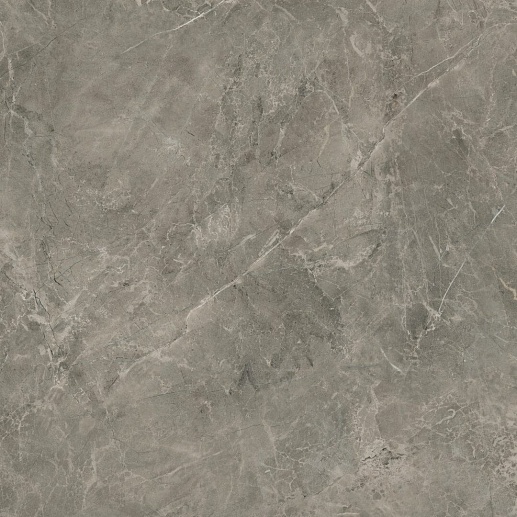 Rapid Grys 60x60 - фото 1