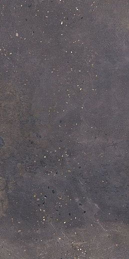 Desertdust Grafit 59.8x119.8 - фото 1
