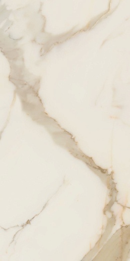 Anima Futura Golden White 60x120 - фото 1